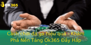 Cach Choi A Ga Hieu Qua Kham Pha Nen Tang Ok365 Ay Hap Dan